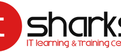 كورس أونلاين مجاني بشهادة في Microsoft Excel باللغة العربية من منصة IT Sharks
