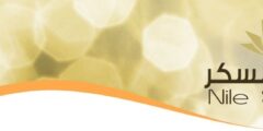 فرصة تدريبية مميزة: برنامج التدريب الصيفي في شركة النيل للسكر – Nile Sugar Summer Internship Program 2025